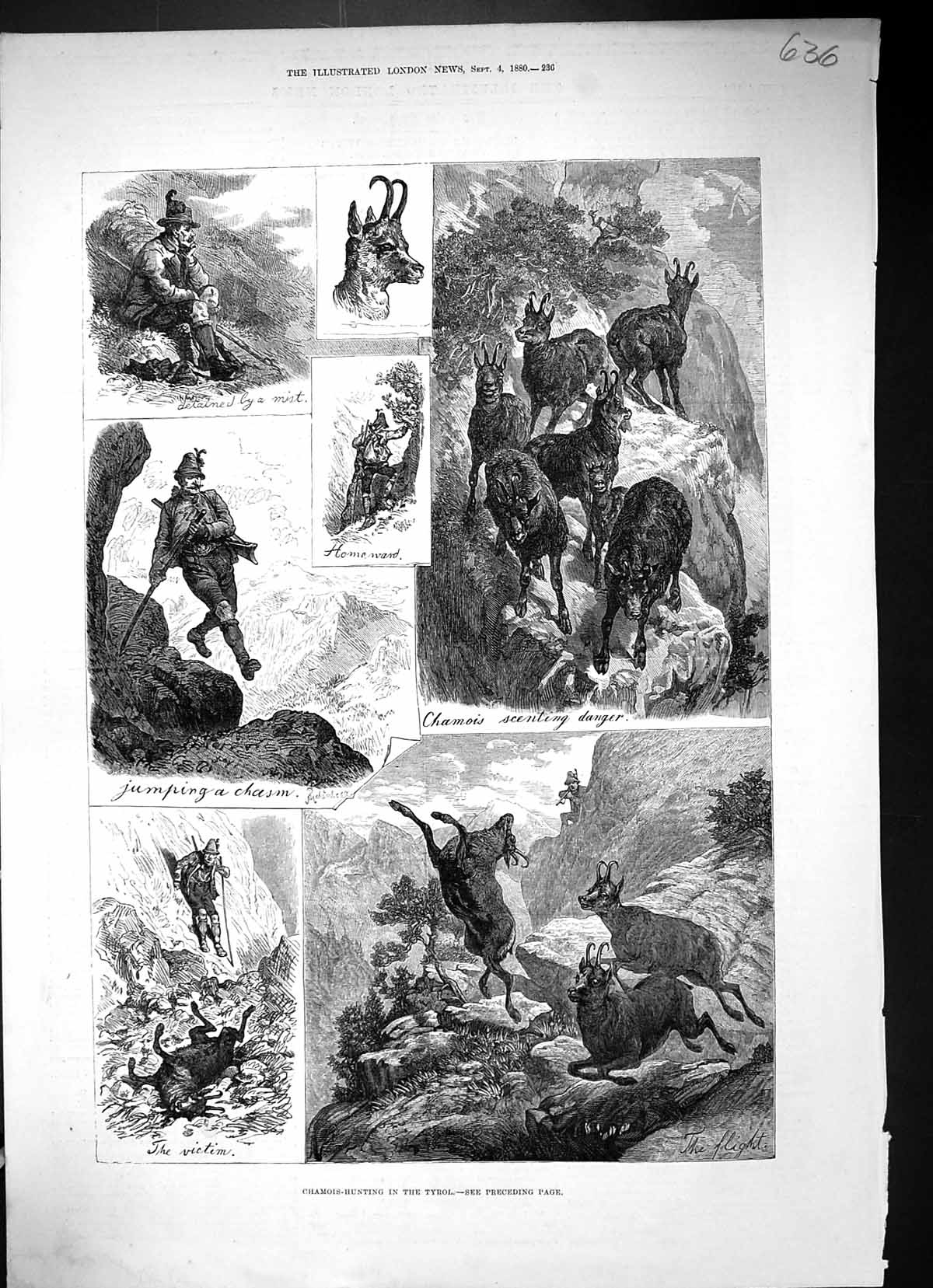 Original Old Antique Print 1880 Chamois Hunting Tyrol Mountains Huntsmen Sport