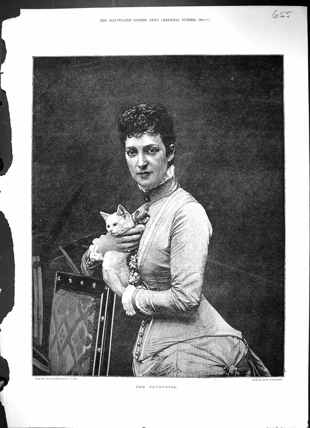 Original Old Antique Print 1881 Portrait Beautiful Woman Pet Kitten Victorian