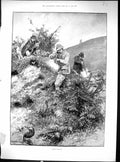 Old Antique Print 1893 Rabbit Shooting Men Hunting Sport Canton Woodville 19th