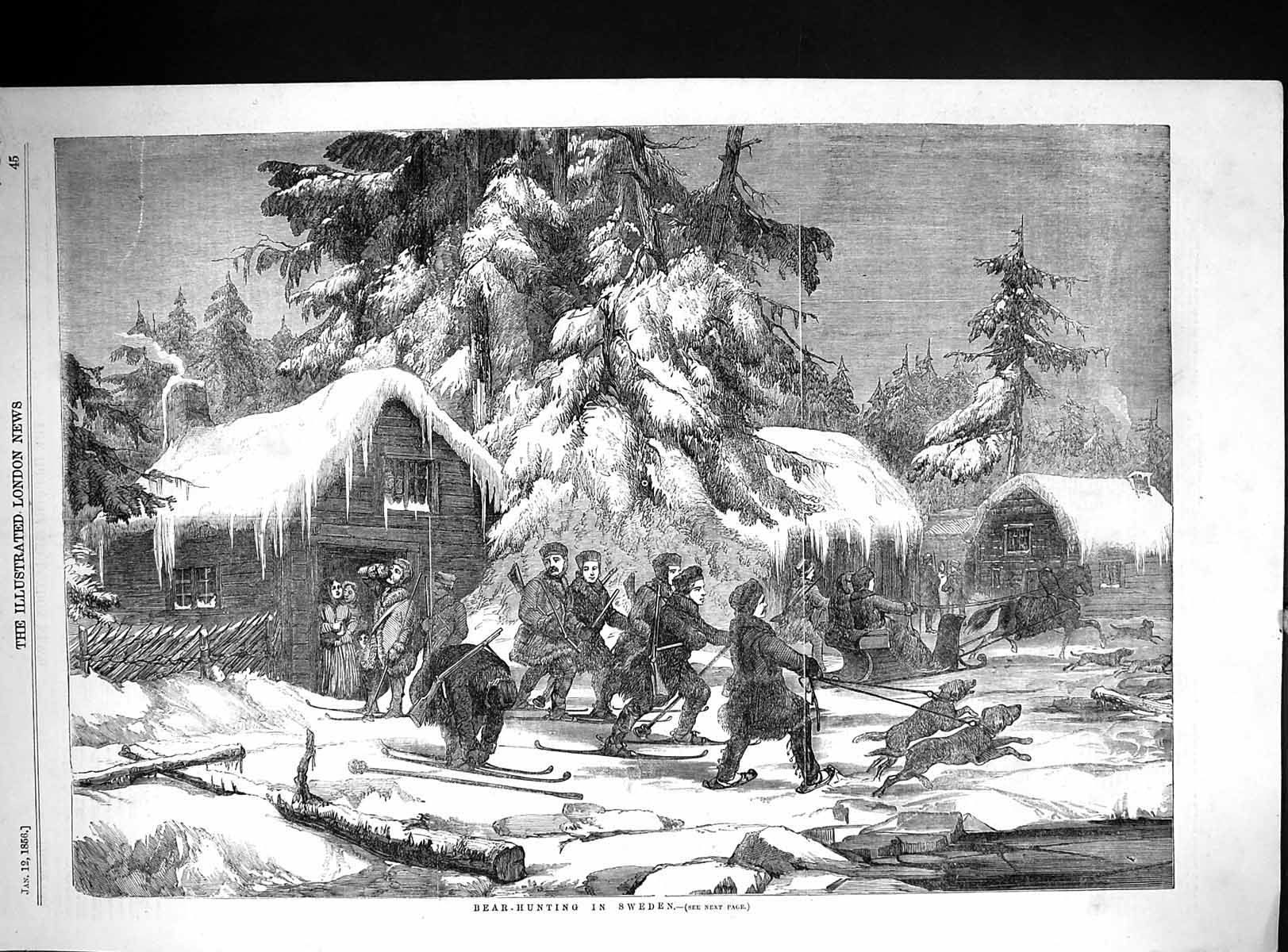 Antique Old Print 1856 Bear Hunting Sweden Men Dogs Sledges Snow Cabin Trees