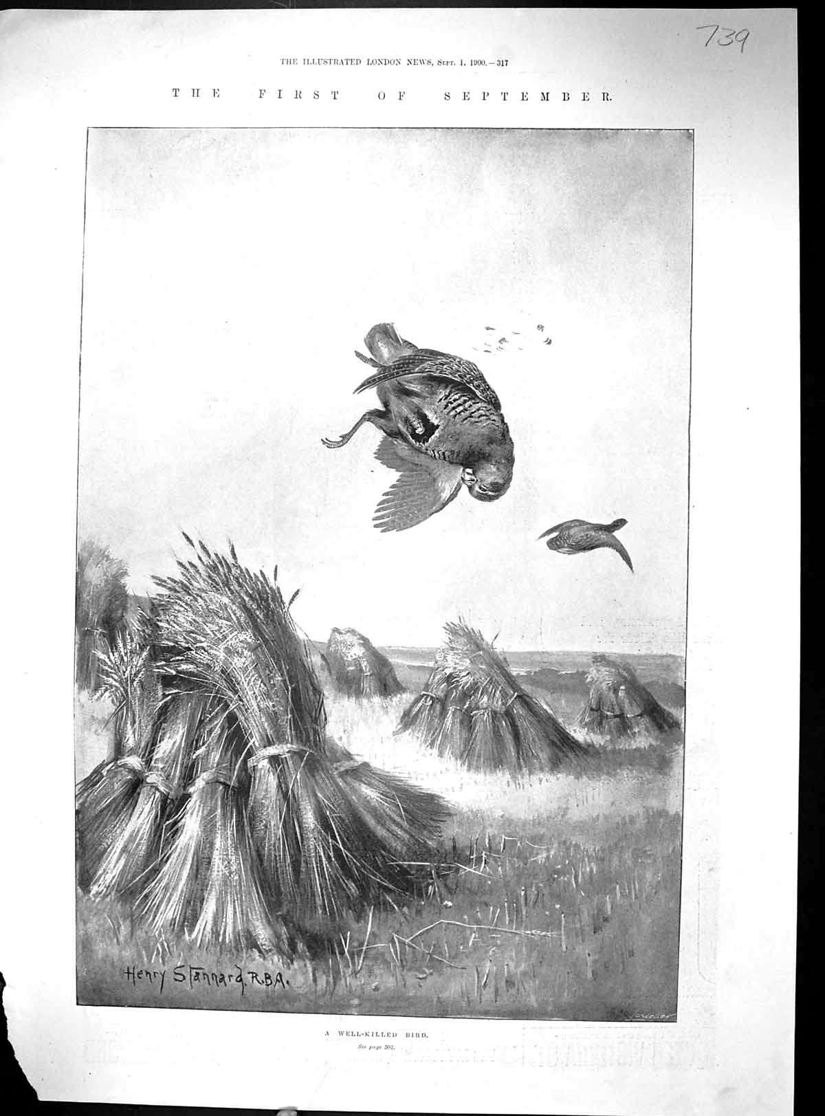 Antique Print 1900 First September Grouse Shooting Hunting Birds Hay Stacks