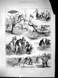 Antique Old Print Collecting Salmon Ova Ireland River Fish Crinoline Net 1884