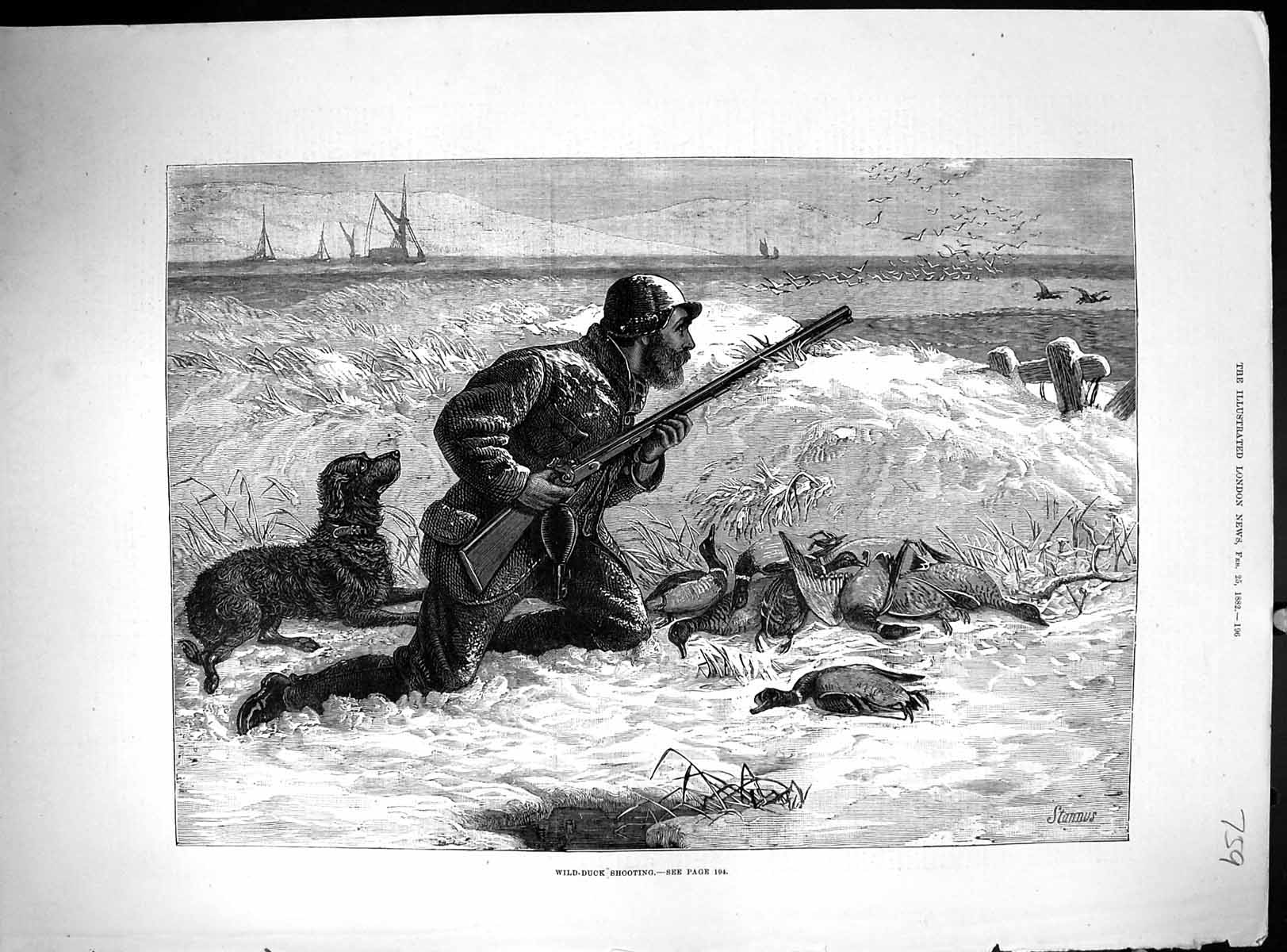 Antique Old Print Wild Duck Shooting Hunting Sport Birds Dog Huntsman 1882 19th