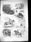 Antique Old Print Hunting Morocco Plover Birds Tusker Shurkabularshish 1888