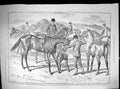 Antique Print 1888 Advertisement Ellimans Embrocation Slough England Horses