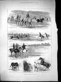 Old Antique Print 1882 Horse Training Newmarket Jockeys Count Lagranges 19th