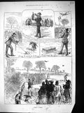 Original Old Antique Print Hawking Hendon Birds Prey Sport Hunting 1871 19th