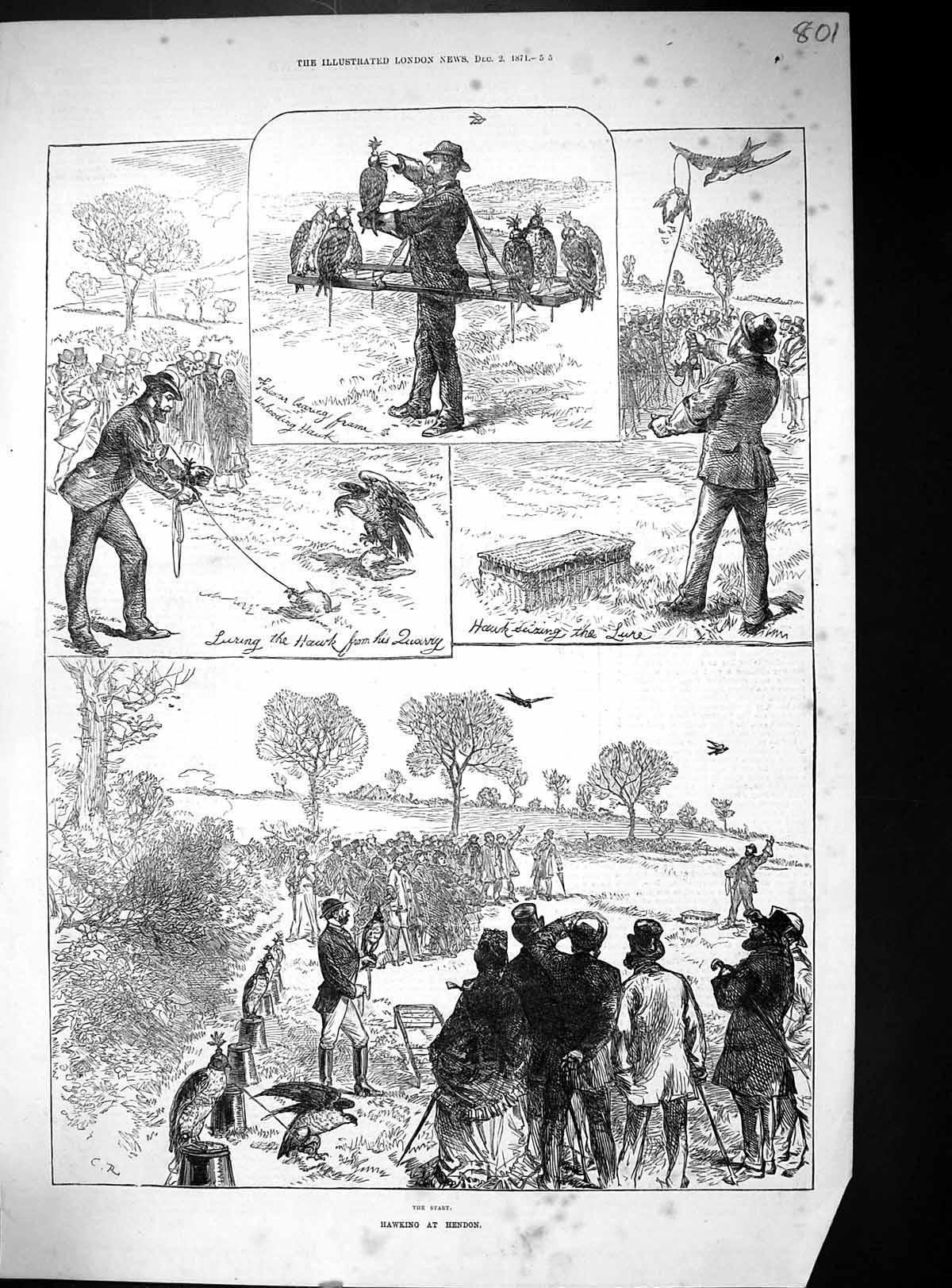 Original Old Antique Print Hawking Hendon Birds Prey Sport Hunting 1871 19th