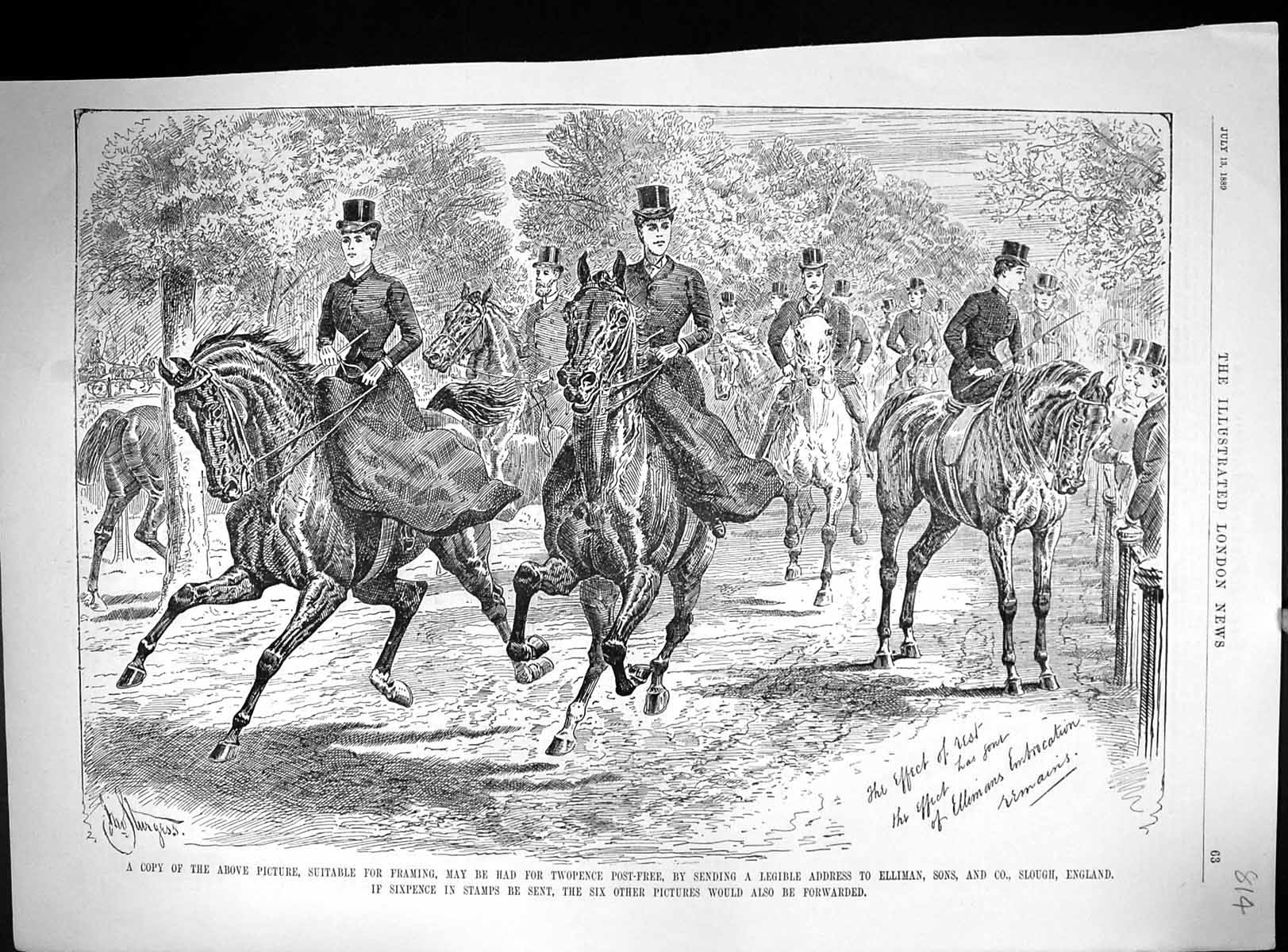 Antique Print 1889 Advertisement Ellimans Embrocation Slough England Horses