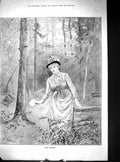 Original Old Antique Print Woman Picking Wild Flowers Forest Scene 1888 Merrin