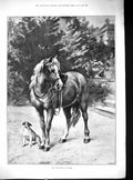 Original Old Antique Print 1889 Favourite At Home Pony Horse Puppy Dog Swain