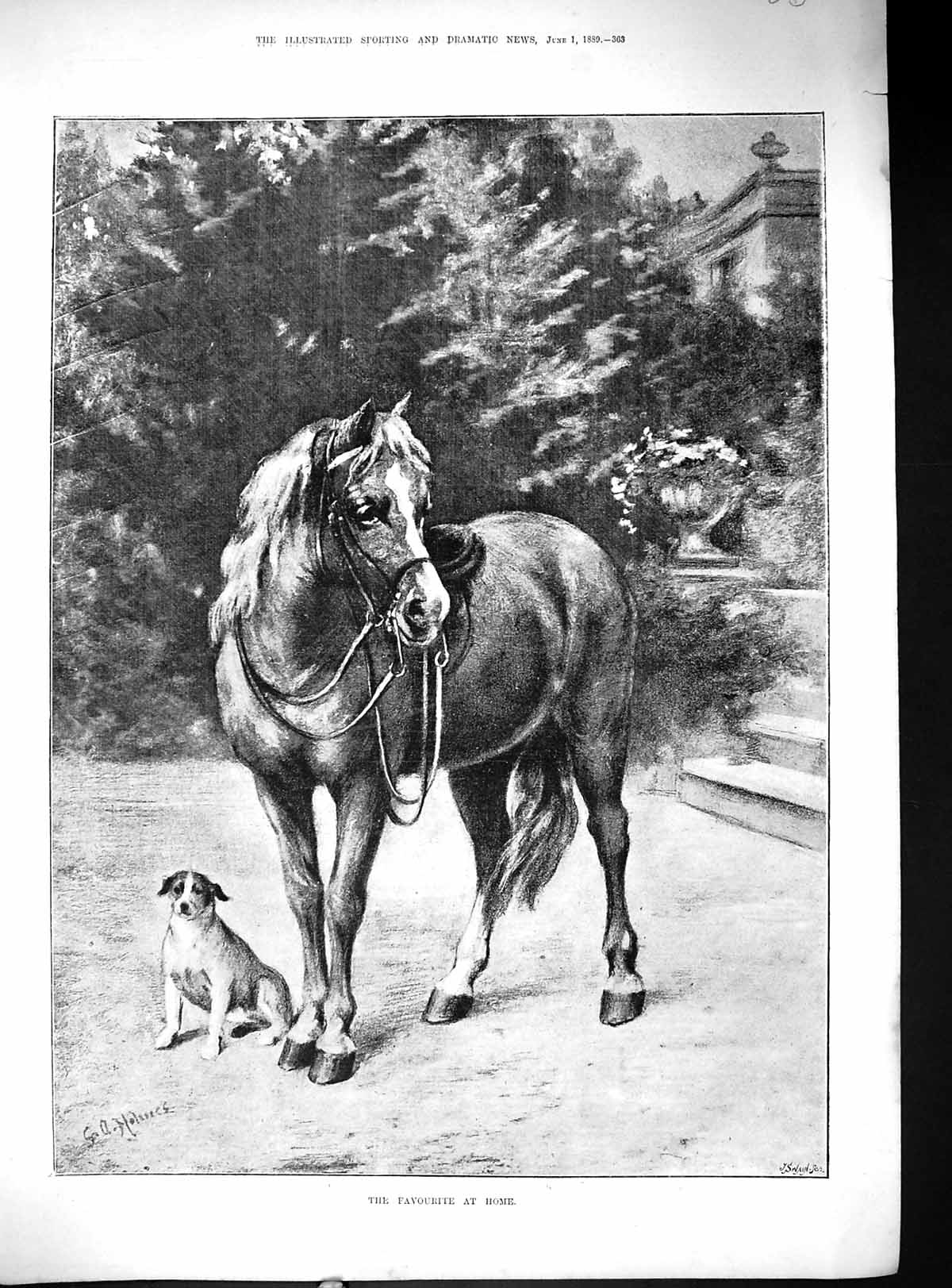 Original Old Antique Print 1889 Favourite At Home Pony Horse Puppy Dog Swain