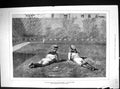Old Print Our Boys Settling Eastern Question Children Playing Siers Gard