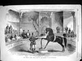 Antique Print 1858 American Horse Black Eagle Alhambra Palace Entertainment