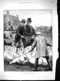 Old Antique Print Goose Club Committee Farm Sale Birds Cows 1881 Emslie 19th