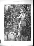 Old Antique Print Taylor 1889 Cherry Picking Trees London Market Industry 19th