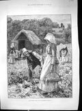 Old Print 1886 Agriculture Scene July Strawberry Plants Picking Gathering 19th