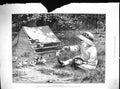 Antique Old Print 1888 Young Girl Feeding Chickens First Come Served Dollman