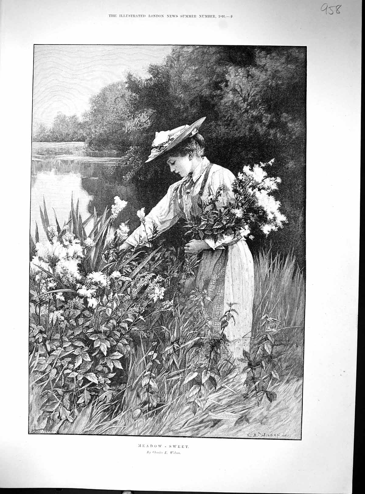 Antique Old Print 1895 Beautiful Woman Picking Flowers Meadow-Sweet Wilson 19th