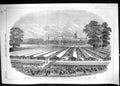 Antique Old Print Royal Agricultural Society Meeting Windsor Home Park 1851