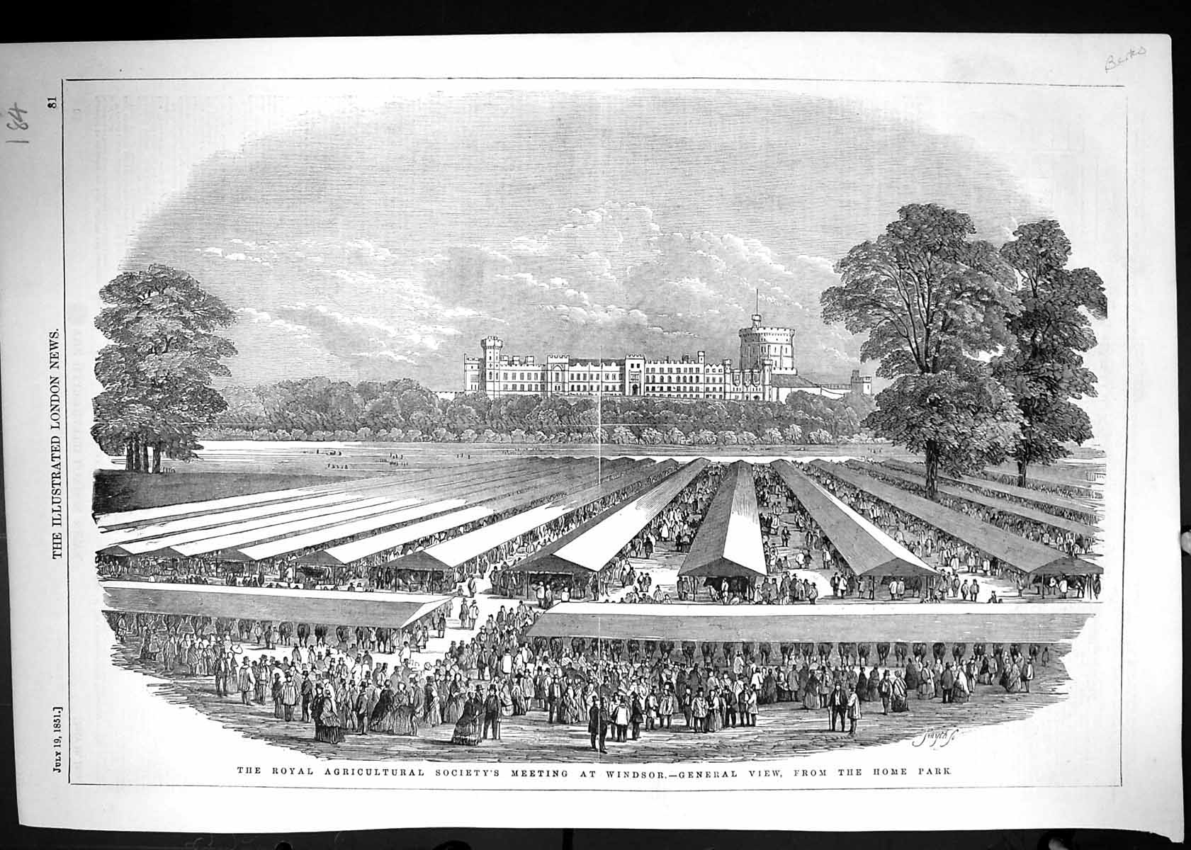 Antique Old Print Royal Agricultural Society Meeting Windsor Home Park 1851