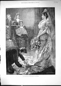 Original Old Antique Print 1893 Drawing Room Beautiful Woman Dress Photographer