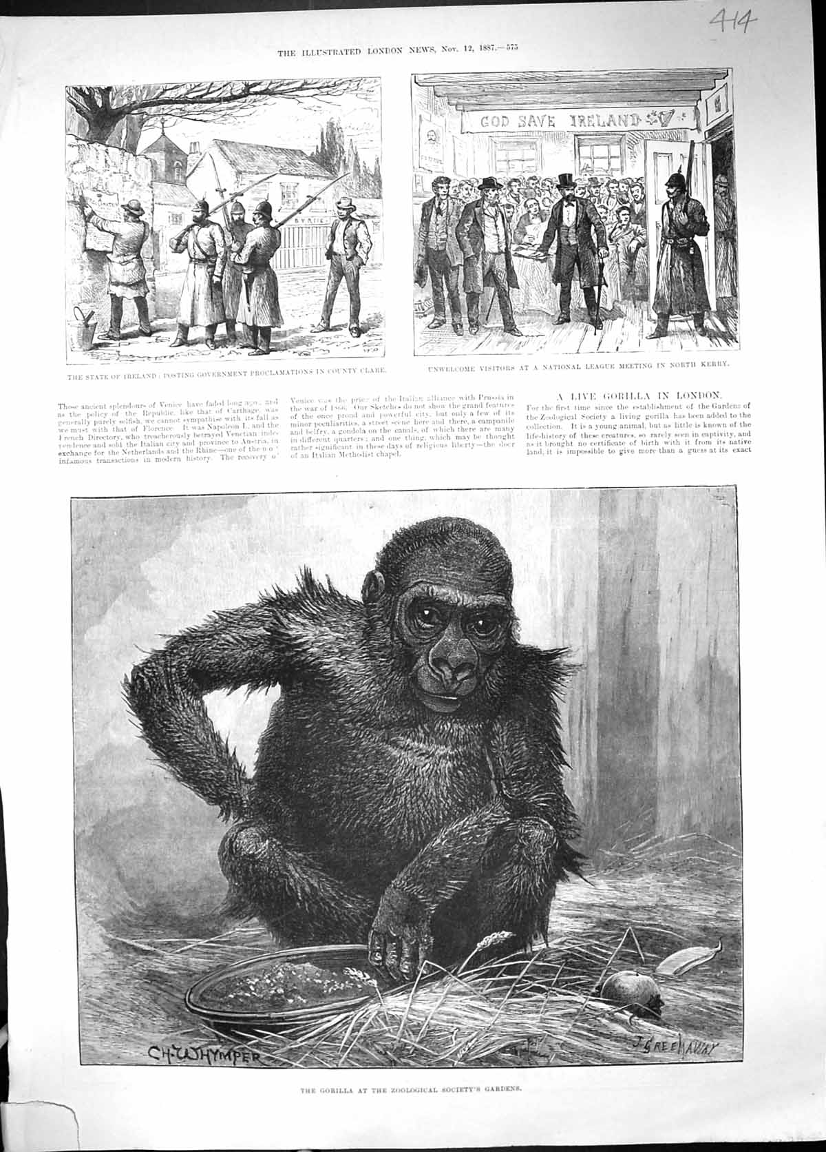 Old Ireland National League Kerry County Clare 1887 Gorilla Zoologica Victorian
