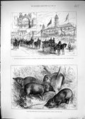 Old Prince Wales Leicester Children Anthem Market Place 1882 Pigmy Ho Victorian