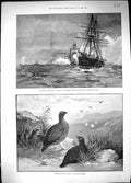 Old 1890 Admiral Sir George Tryon Ships Target Practice Twelfth Augus Victorian