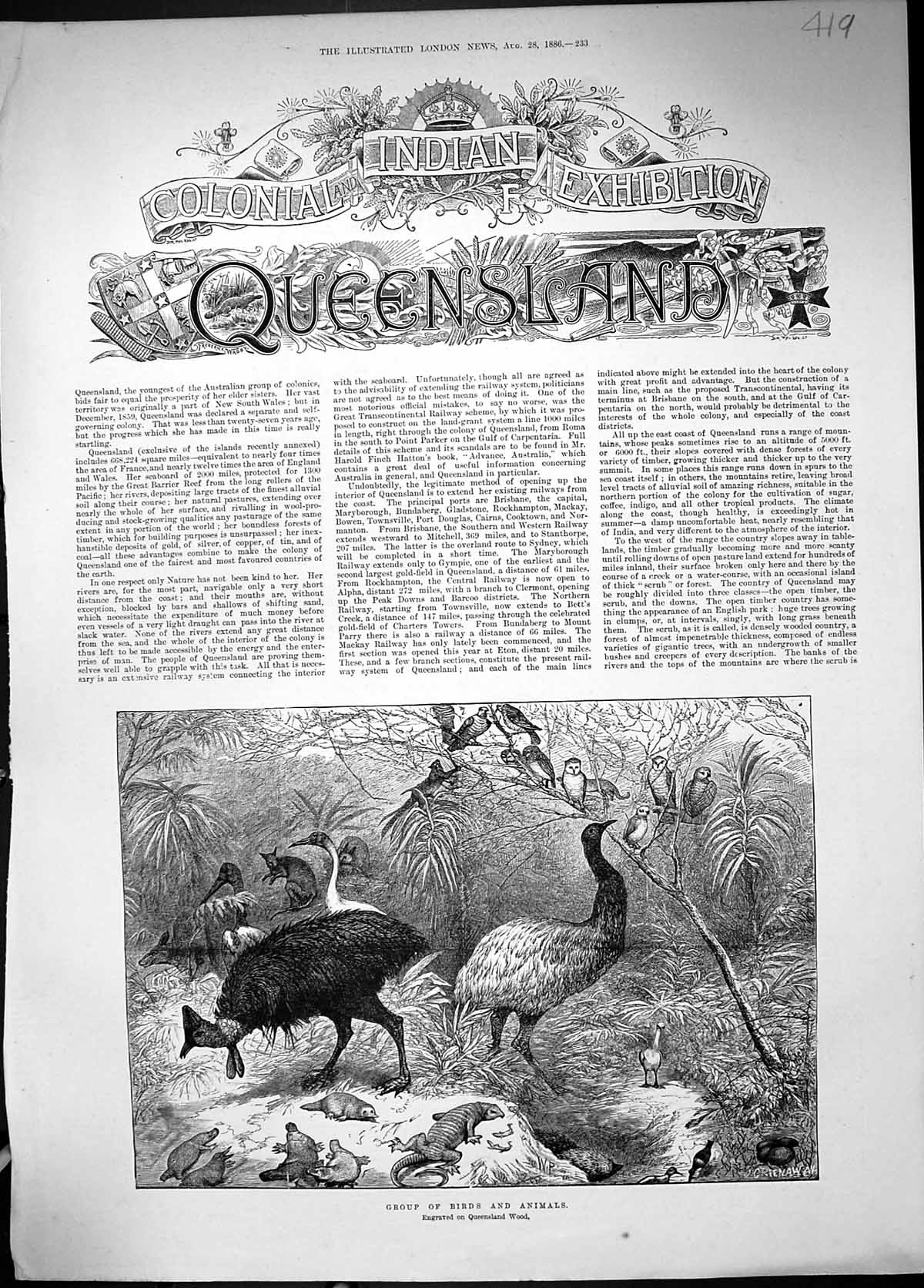 Original Old Antique Print 1886 Group Birds Animals Queensland Wood Australia