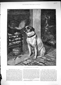 Original Old Antique Print Pleasure Hope Harrison Pet Dog House Fire 1881 19th