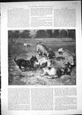 Original Old Antique Print 1889 Windfall Reichert Dogs Chewing Kite Park Scene