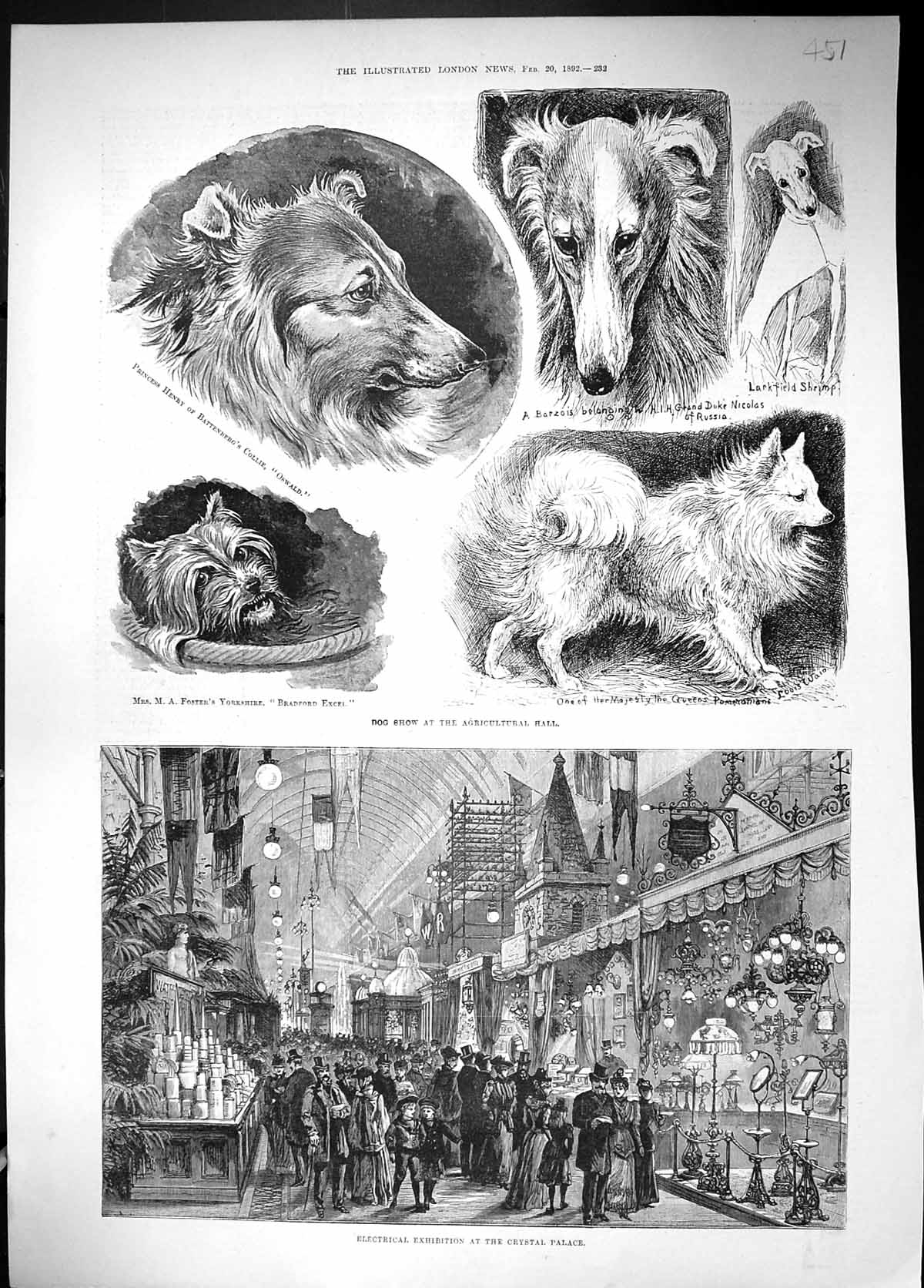 Old Dog Show Collie Oswald Foster Shrimp 1892 Crystal Palace Electric Victorian