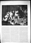 Antique Old Print Power Sound Pet Kittens Cats Singing Kettle 1889 Reichert