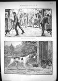 Old Strange Covey Cat Kittens Hunting Dog 1889 Dockers Work Cargo Tea Victorian