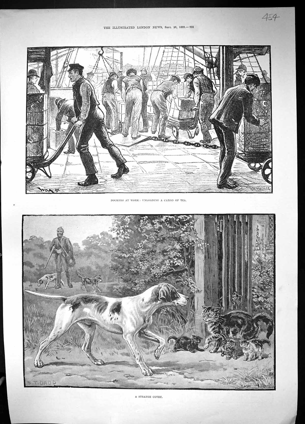 Old Strange Covey Cat Kittens Hunting Dog 1889 Dockers Work Cargo Tea Victorian