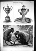 Old 1863 Red Howling Monkeys Mycetes Ursinus Silver Vase Grant Major Victorian