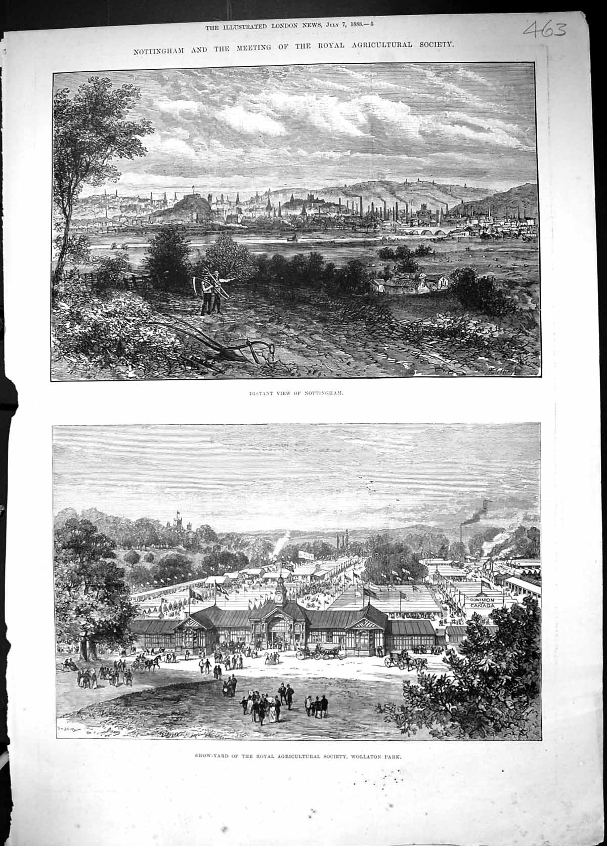 Old 1888 View Nottingham Show Yard Royal Agricultural Society Wollato Victorian