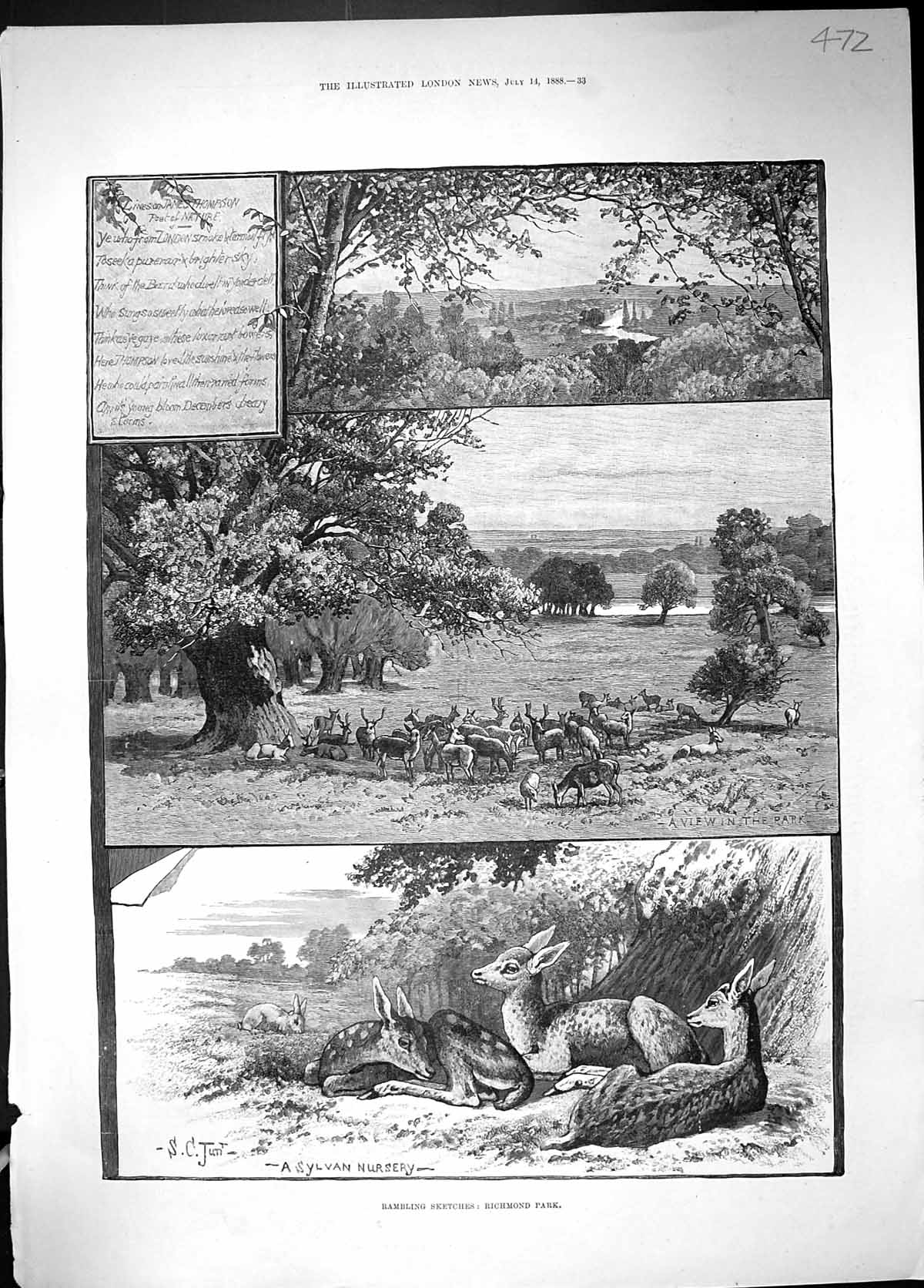 Old Print 1888 Rambling Sketch Richmond Park Sylvan Nursery Deer Animals 19th