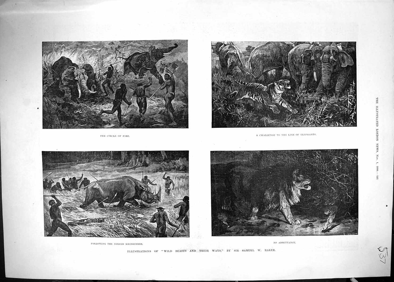 Old 1890 Illustration Wild Beasts Their Ways Samuel Baker Rhinoceros Victorian
