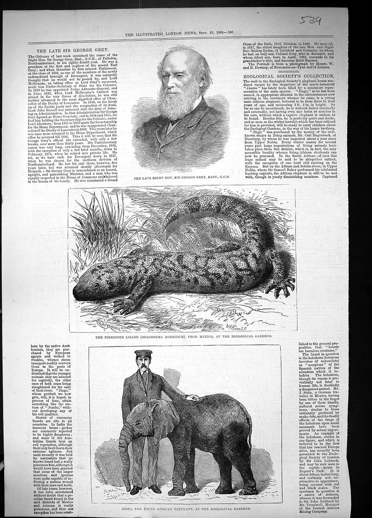 Old 1882 George Grey Poisonous Lizard Mexico Jingo African Elephant Z Victorian