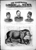 Old 1882 Egyptian Government Ali Tahmi Bey Minister Ahmed Arabi Abdul Victorian