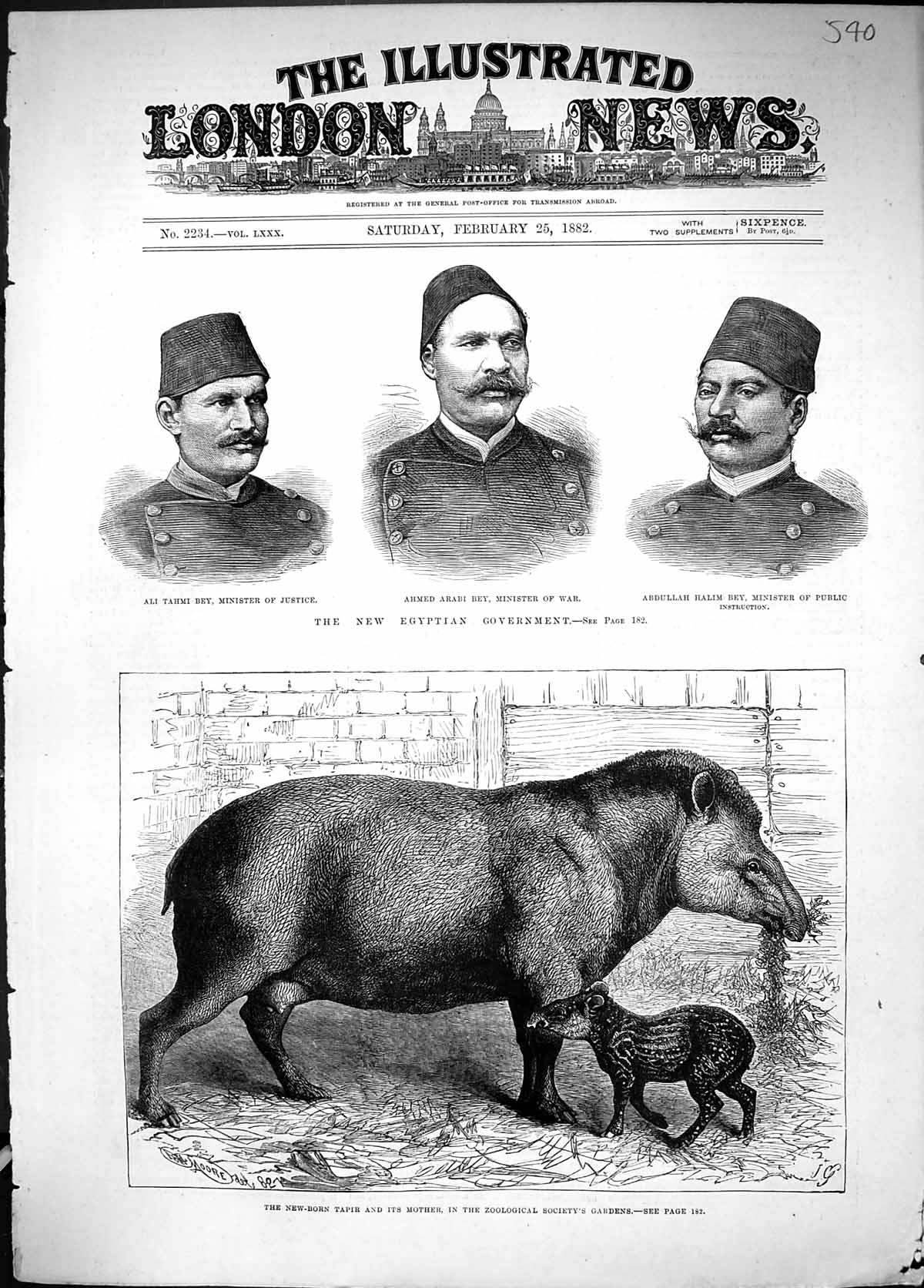 Old 1882 Egyptian Government Ali Tahmi Bey Minister Ahmed Arabi Abdul Victorian