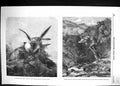 Old 1856 Gerfalcons Striking Kite Bird Prey Ravine Glen Tilt River Mo Victorian