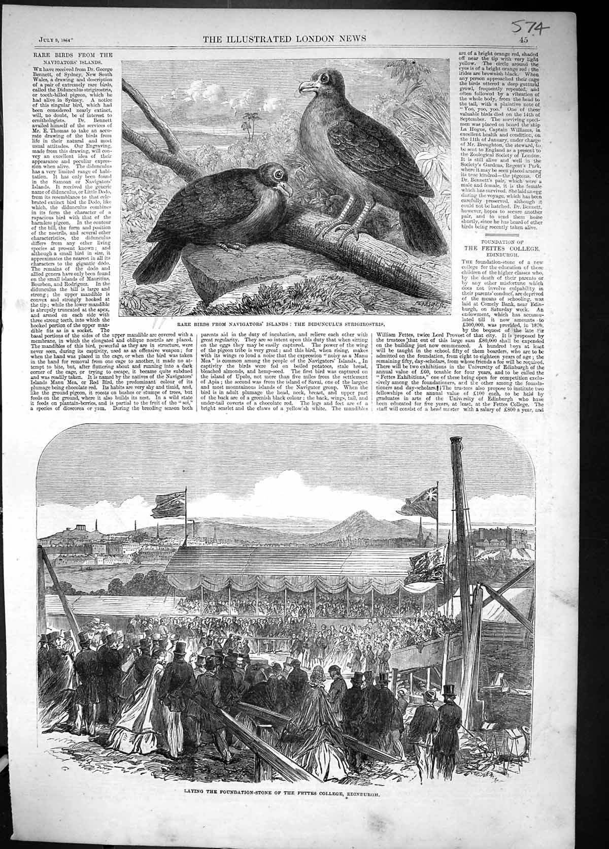 Old 1864 Birds Navigators Island Didunculus Strigirostris Fettes Coll Victorian