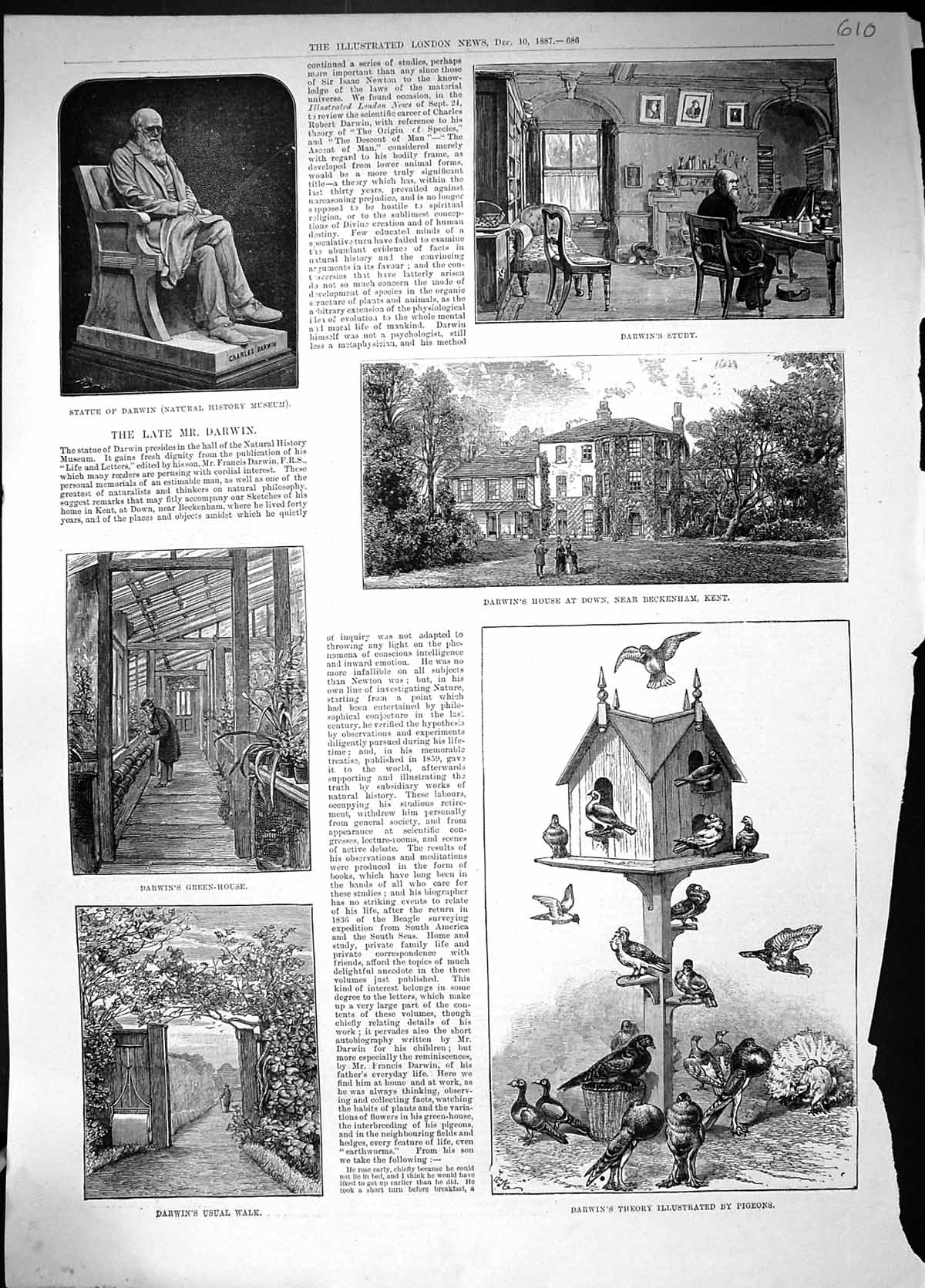 Old 1887 Statue Darwin House Down Beckenham Kent Green-House Theory P Victorian