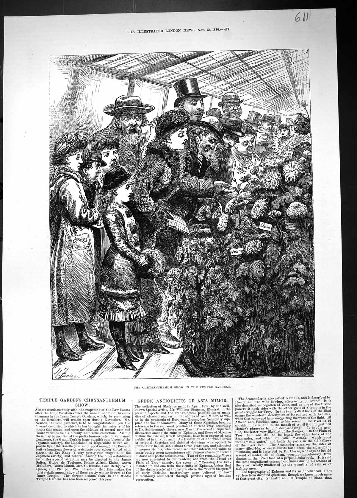 Original Old Antique Print 1880 Chrysantheumum Flower Show Temple Gardens 19th