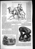 Old 1859 Barras Camel Corps Rajpootana Gorilla Memorial Church Pentre Victorian