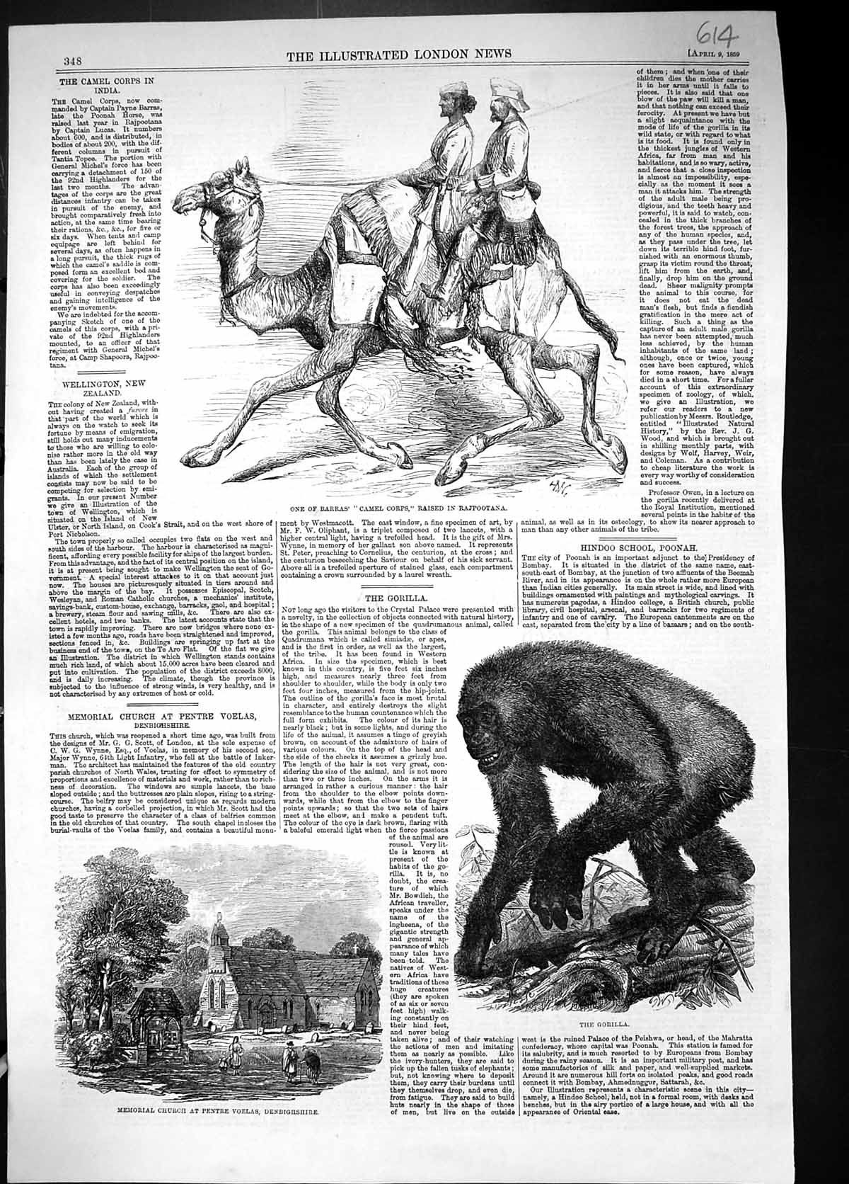 Old 1859 Barras Camel Corps Rajpootana Gorilla Memorial Church Pentre Victorian
