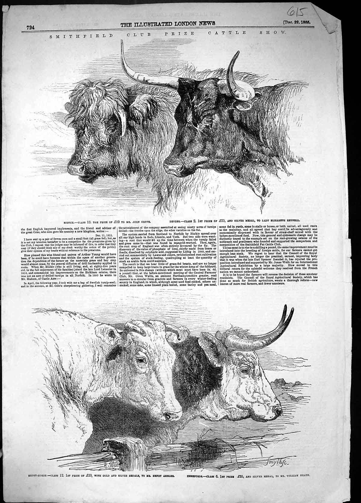 Old 1855 Smithfield Club Prize Cattle Show Scotch Devons Short-Horns Victorian